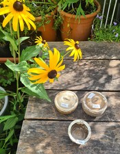 1 (!) Tek Sing kleines braunes